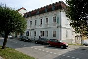 Svatomartinská husa v Bakaláři