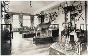Cesty sbírek - Muzeum lesnictví, myslivosti a rybářství