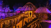Vánočně nasvícená ZOO