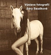 Fotografie Sáry Saudkové