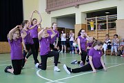 Sokol spolu v pohybu