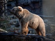 Večerní pohádková ZOO