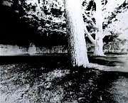 Pavel Talich - camera obscura
