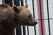 Velikonoce v ZOO