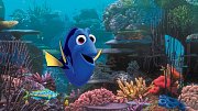 Finding Dory (3D)