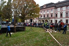 Tag der Forstwirtschaft