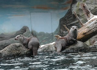 Za zábavou i poznáním do ZOO