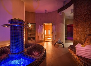 Wellness Hotelu Diamant