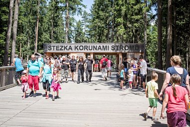 Stezka korunami stromů