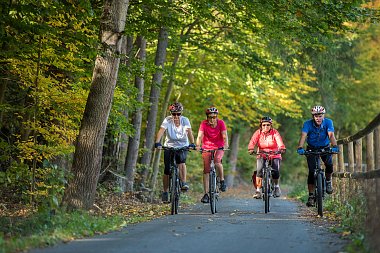 Bike Service and Rental