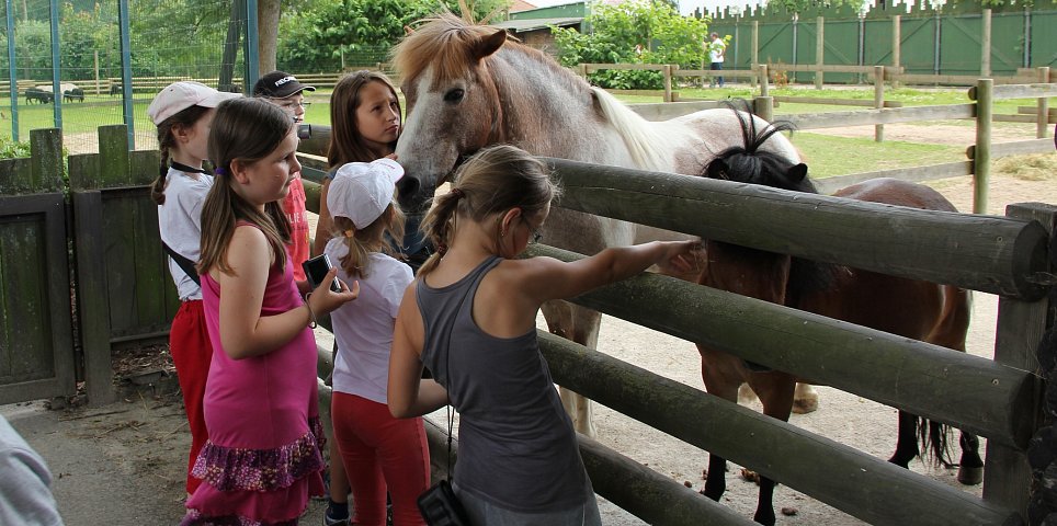 Letní příměstský tábor 2016