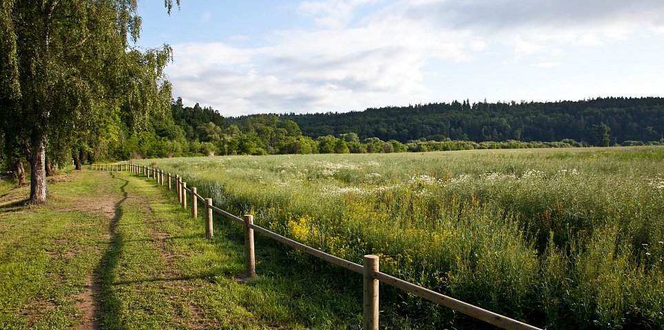 Město a okolí