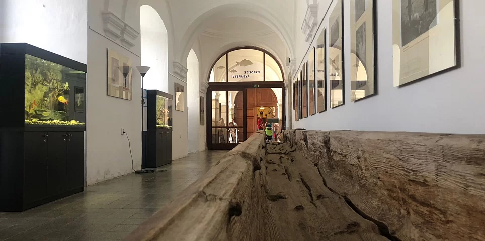 Museum Ohrada